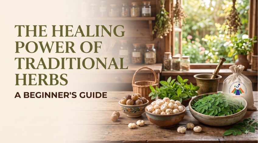 The Healing Power of Traditional Herbs: A Beginner's Guide to Natural Wellness