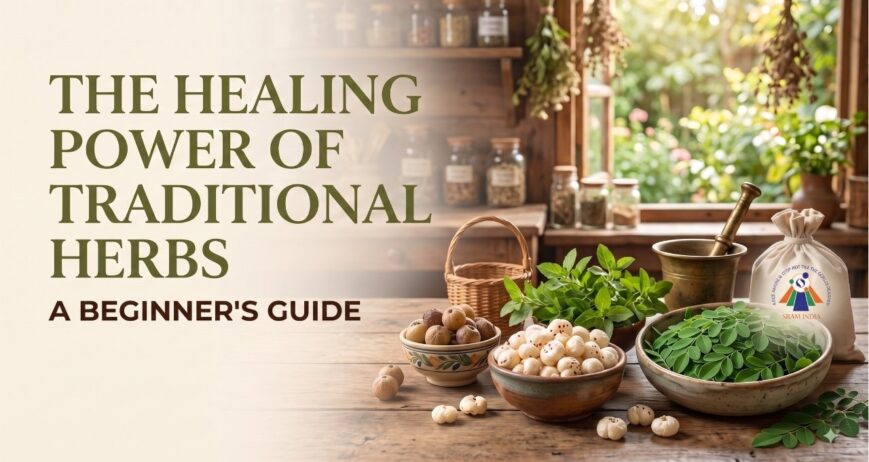 The Healing Power of Traditional Herbs: A Beginner's Guide to Natural Wellness
