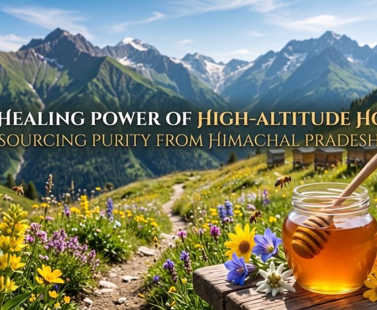 The Healing Power of High-Altitude Honey: Sourcing Purity from Himachal Pradesh
